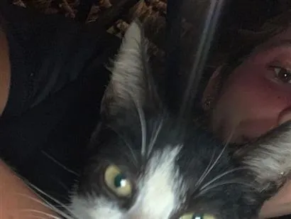 Gato raça SRD-ViraLata idade 2 a 6 meses nome Pulguinha