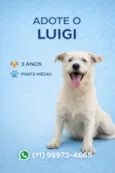 Luigi
