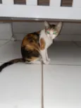 Não tem nome 