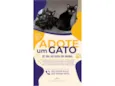 Três gatinhos pretos para adoção ?? 