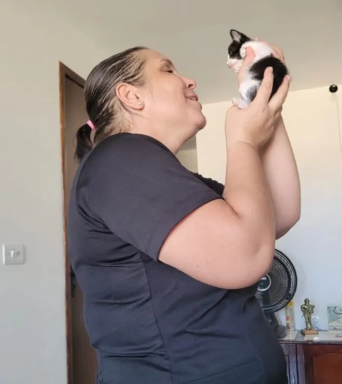 Gato raça SRD-ViraLata idade Abaixo de 2 meses nome Reginelson