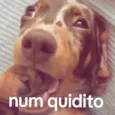 Sem nome