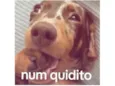 Sem nome