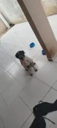 conhecido como Fofão 
