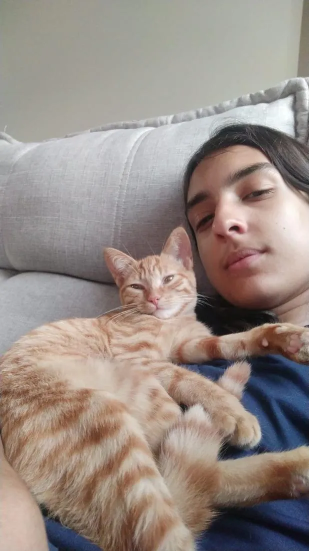 Gato raça SRD-ViraLata idade 3 anos nome Gwen