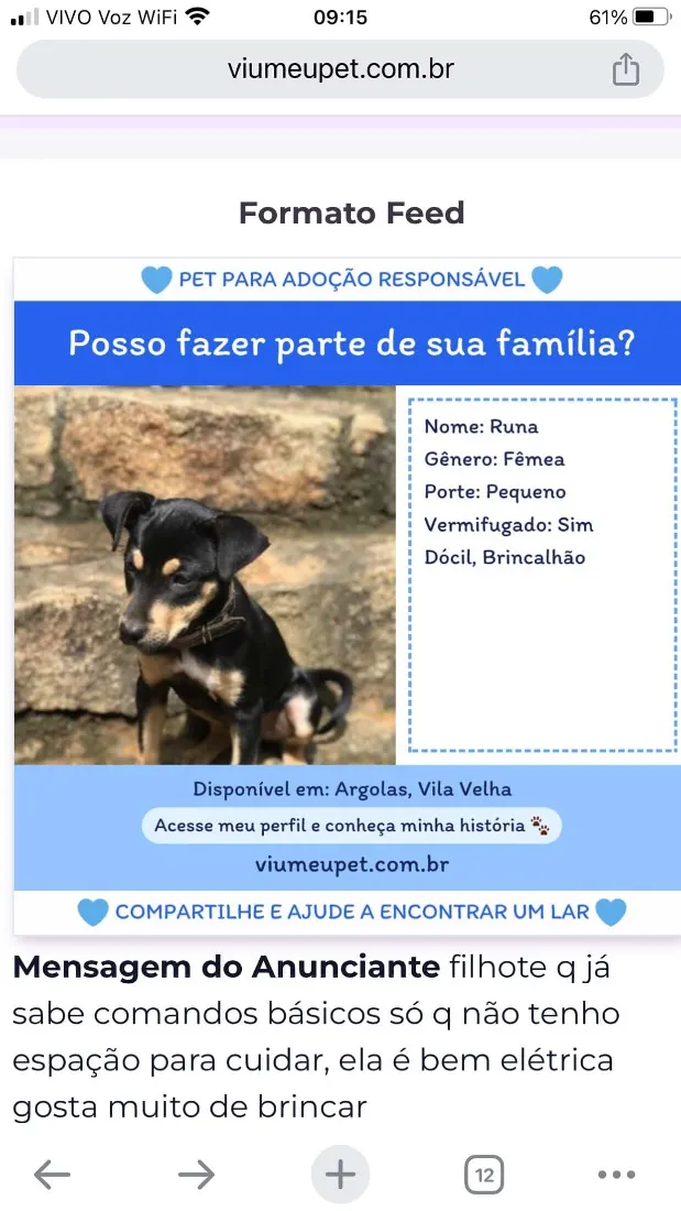 Cachorro raça SRD-ViraLata idade 2 a 6 meses nome Runa