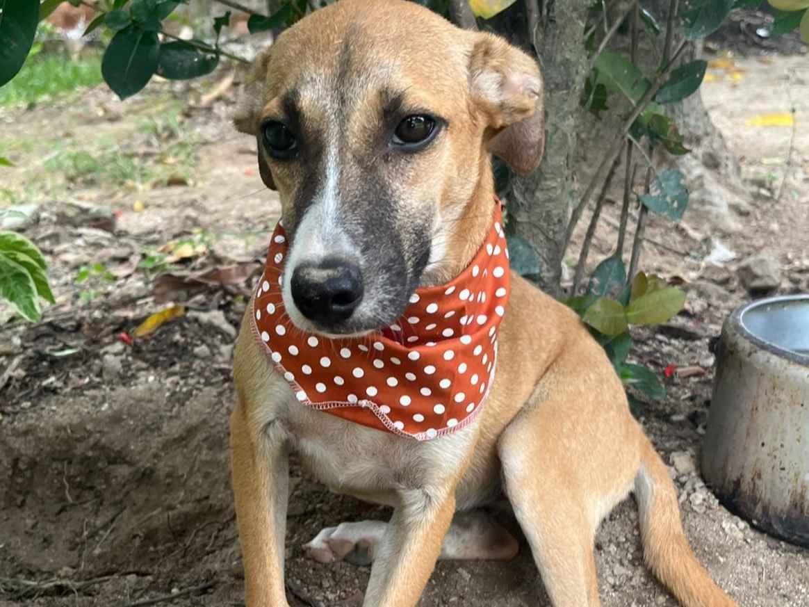 luna - Rio de Janeiro