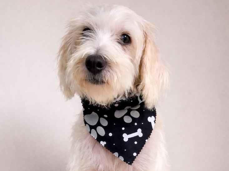 Floquinho  - Barueri