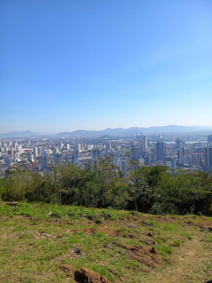 Gato raça SRD-ViraLata idade 4 anos nome Eddy