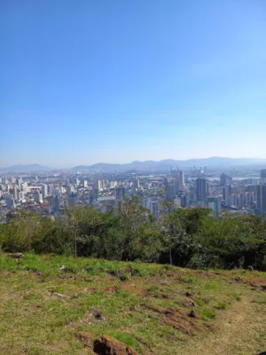 Gato raça SRD-ViraLata idade 4 anos nome Eddy