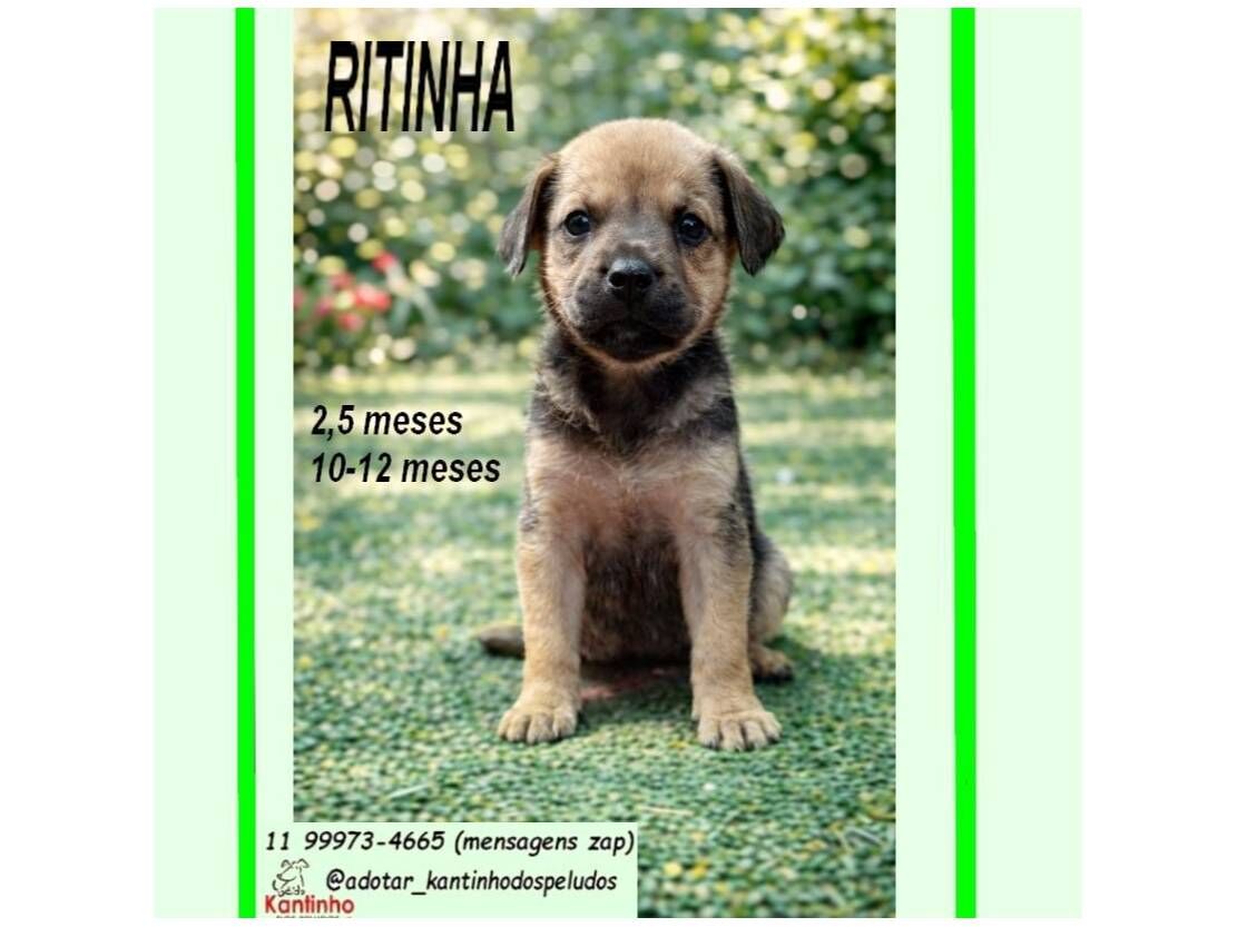 RITINHA - São Paulo