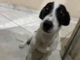 Mel