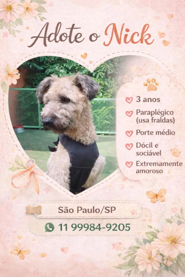 Cachorro raça SRD-ViraLata idade 4 anos nome Nick