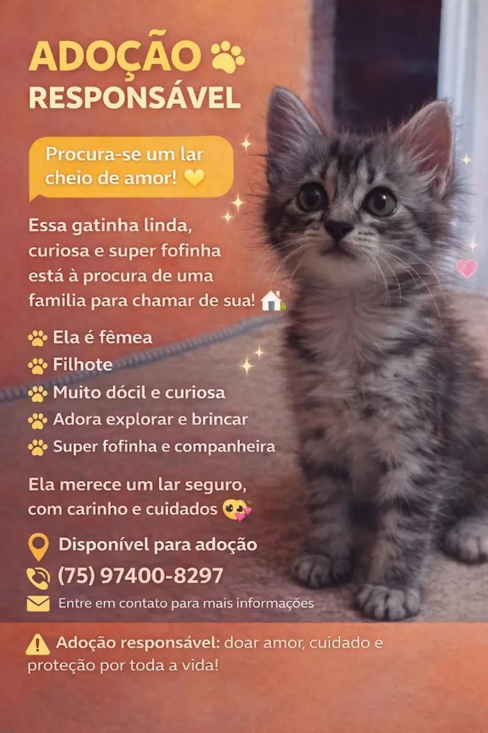 Gato raça SRD-ViraLata idade Abaixo de 2 meses nome sem nome ainda 