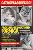 Formiga