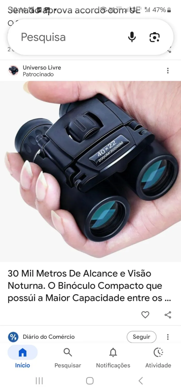 Gato raça SRD-ViraLata idade 7 a 11 meses nome Amarel