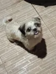 "Encontrado e perdido "