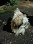 "Encontrado e perdido "