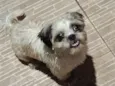 "Encontrado e perdido "