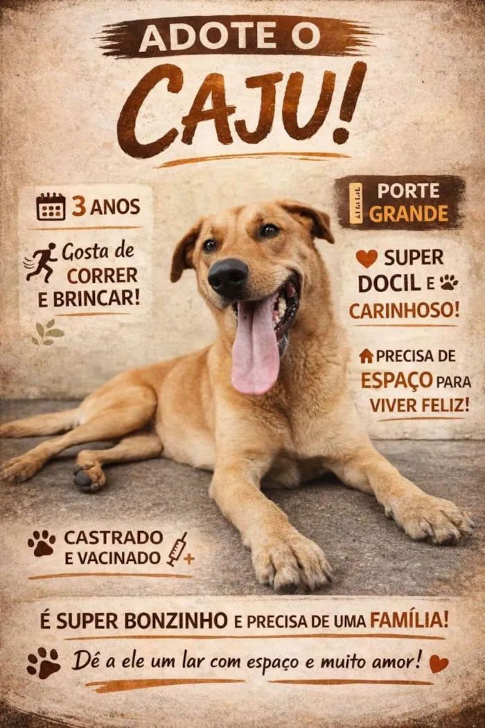 Cachorro raça SRD-ViraLata idade 3 anos nome Caju