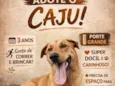 Caju