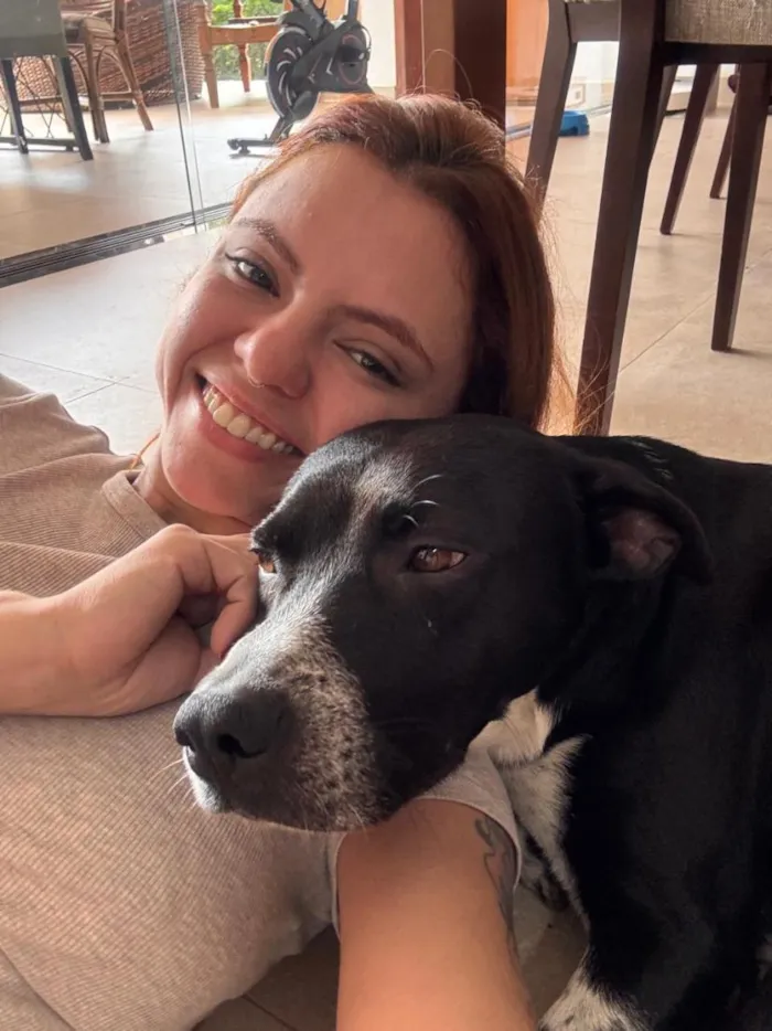 Cachorro raça SRD-ViraLata idade 2 anos nome Douglas