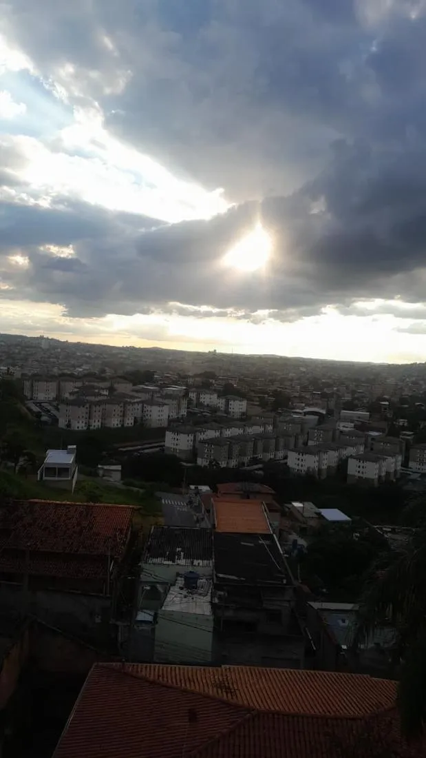 Cachorro raça SRD-ViraLata idade 5 anos nome Madalena