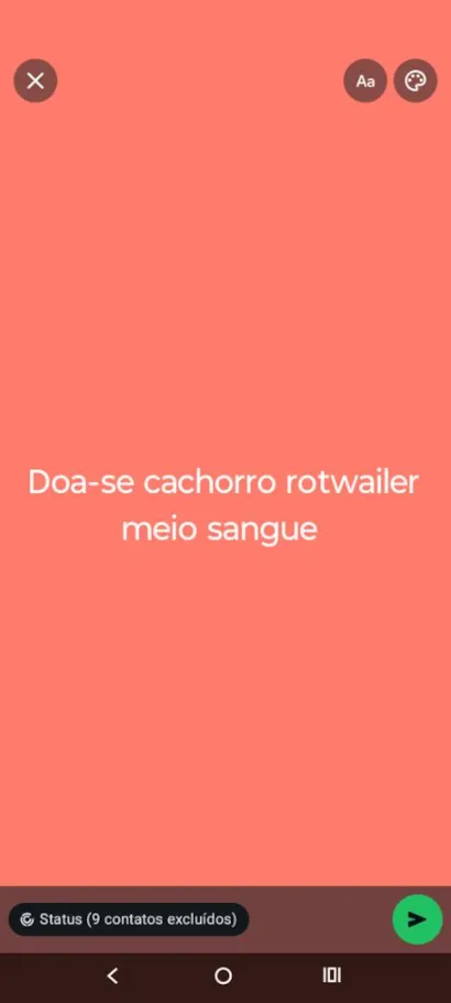 Cachorro raça Rottweiler idade 2 anos nome negão 