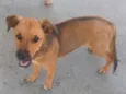LUPITA, MIA E CHUCHU