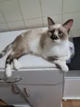 Tina