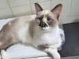 Tina
