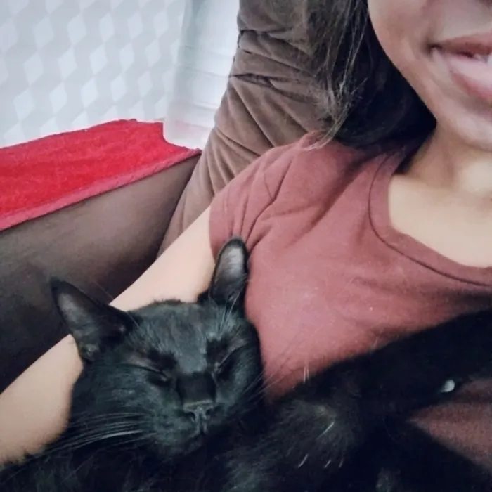 Gato raça SRD-ViraLata idade 1 ano nome Nina 