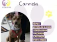 Carmela