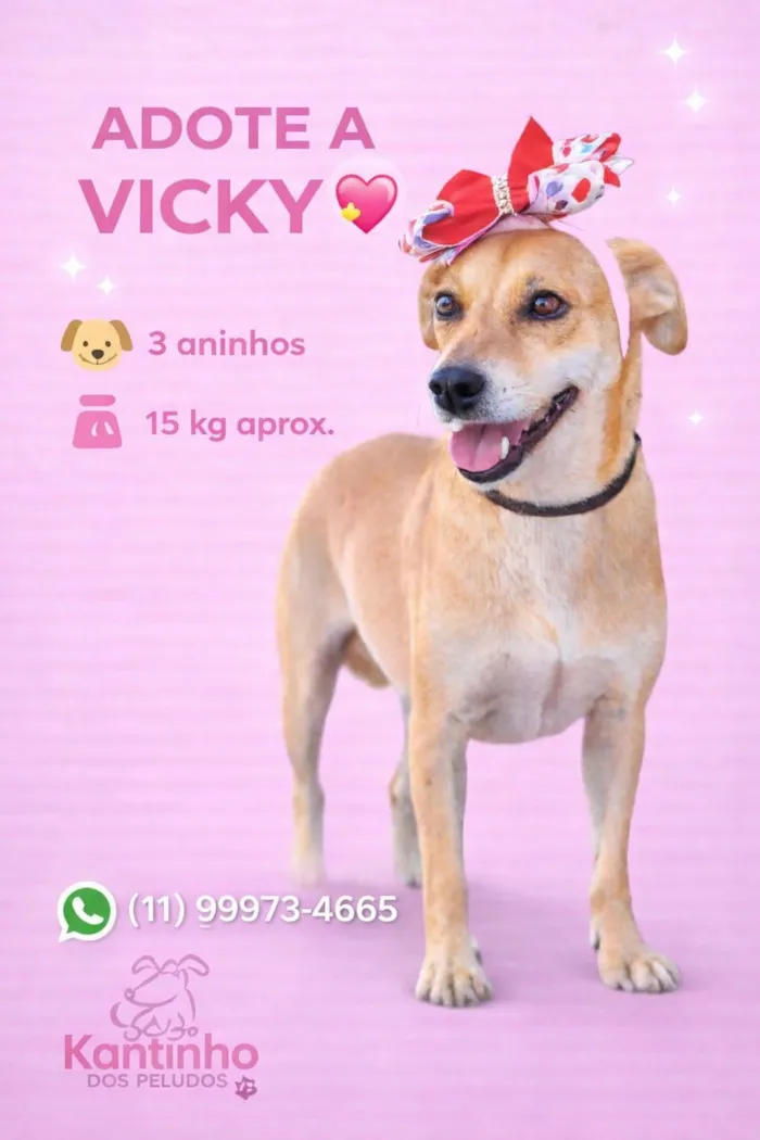 Cachorro raça SRD-ViraLata idade 3 anos nome Vicky