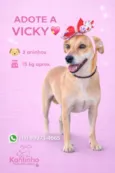 Vicky