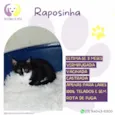 Raposinha