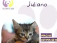 Juliano