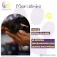 Marcelinho