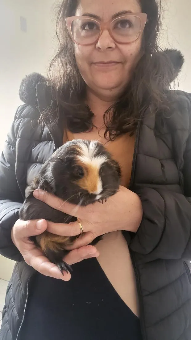 Gato raça SRD-ViraLata idade 3 anos nome Lucrécia