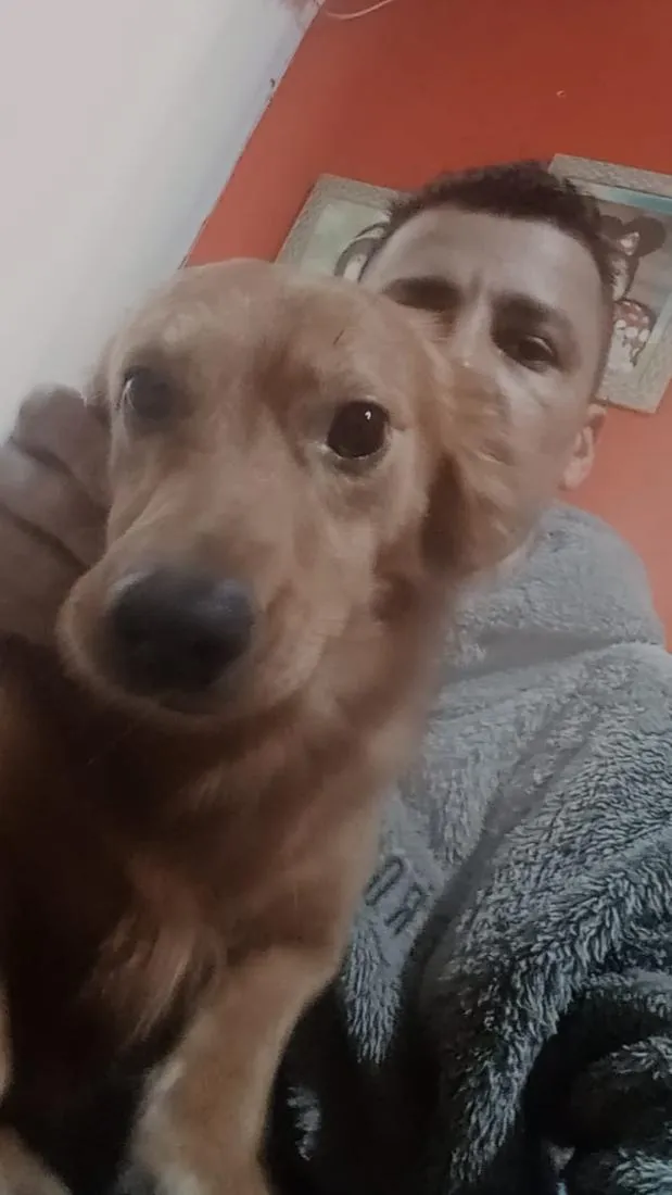 Cachorro raça SRD-ViraLata idade 6 ou mais anos nome Max