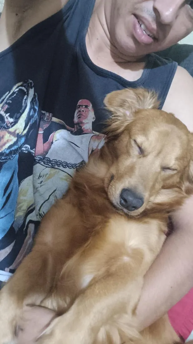 Cachorro raça SRD-ViraLata idade 6 ou mais anos nome Max