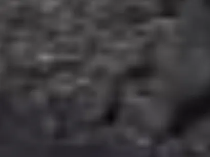 Cachorro raça SRD-ViraLata idade 2 anos nome Mike