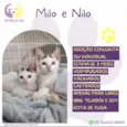 Milo e Nilo