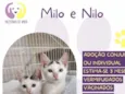 Milo e Nilo