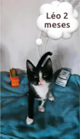 Léo  2 meses 