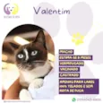 Valentim