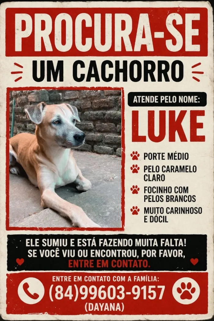 Cachorro raça SRD-ViraLata idade 3 anos nome Luke
