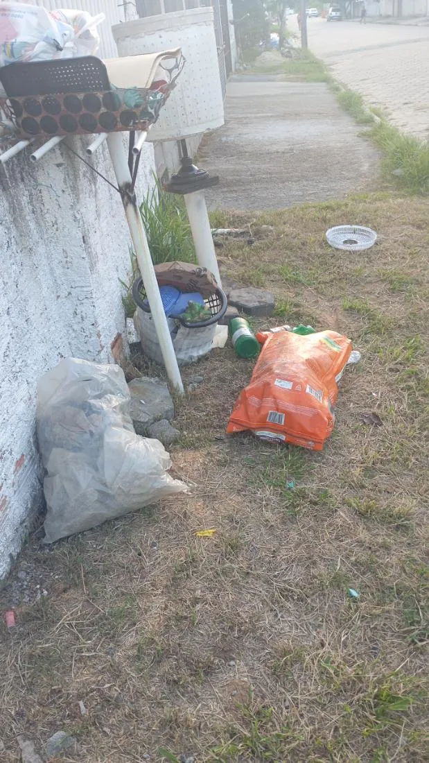 Cachorro raça Pit-Bull idade 1 ano nome Mana