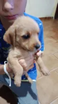  ainda não coloquei nome