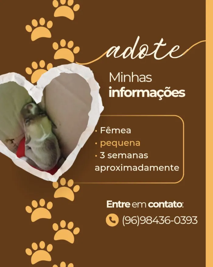 Cachorro raça SRD-ViraLata idade Abaixo de 2 meses nome *não possui nome*
